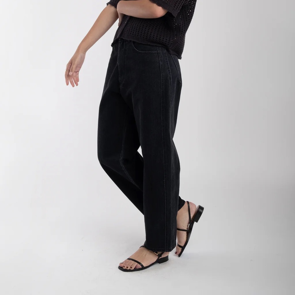 Micaela Greg Panel Jean | NWOT